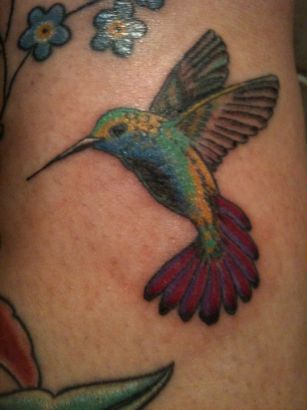 Hummingbird Tat Images